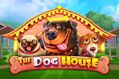 The Dog House слот Лофт Казино